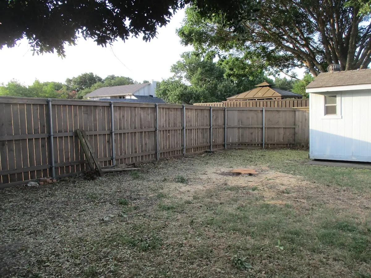 Cleared yard after professional tree removal in Deerfield