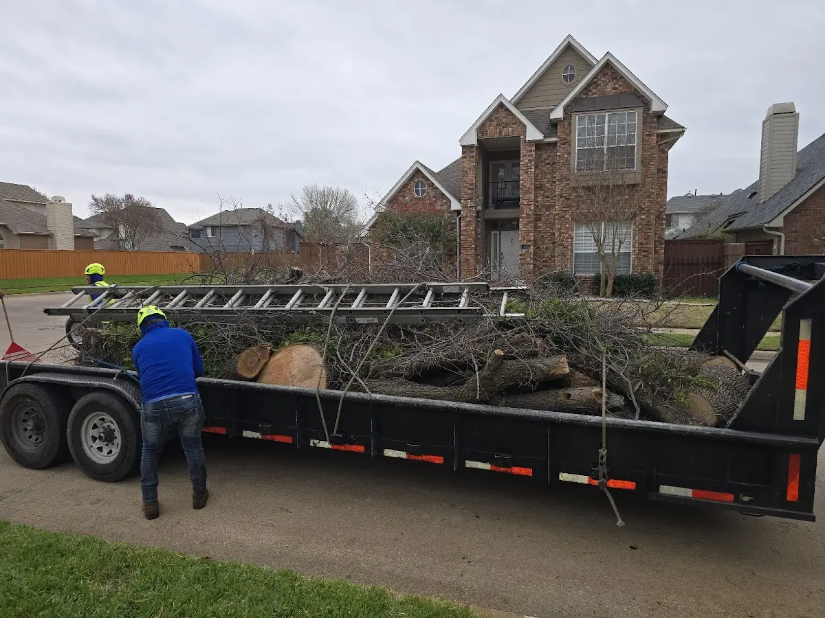 Expert Tree Fertilization with proper safety equipment in Deerfield